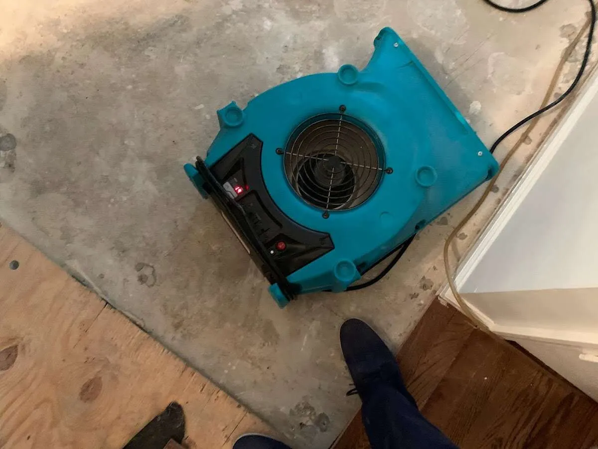 Air mover drying subfloor during Commercial Water Damage Restoration in Silver Firs